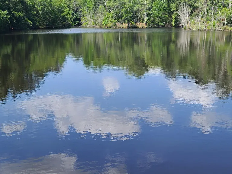 this is part of the many shared spaces on the property

a 2 acre stocked lake
stocked with:
Bass, Crape, Catfish, and crawfish