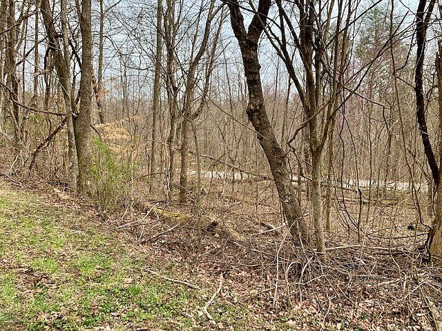 2nd image of 0 Spencer Dr Lot 9