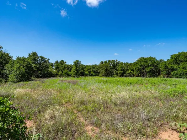 LOT 3 County Road 335, Anson, TX 79501