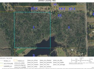 Nhn Azalea Ln, Ovett, MS 39464