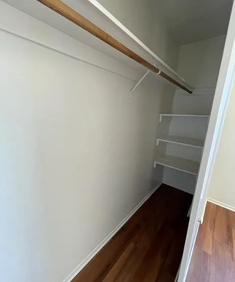 huge closet in master