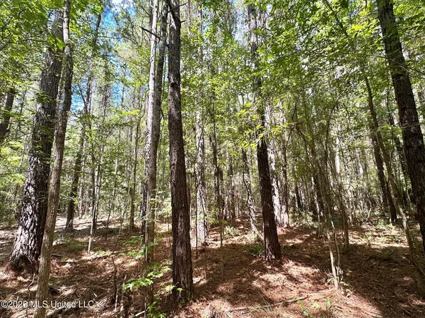 4 Clara Foote Rd, Braxton, MS 39044