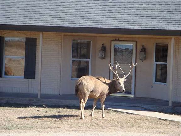 5th image of 4699 County Road 22