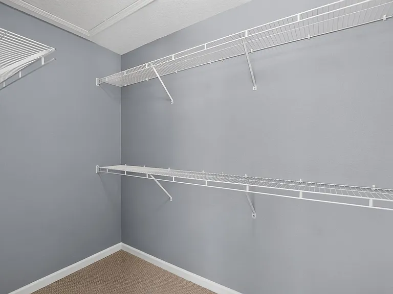 10137 Pink Palmata Ct — Photo 18