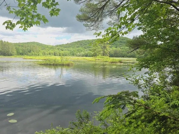 48 Town Pound Road, Porter, ME 04068