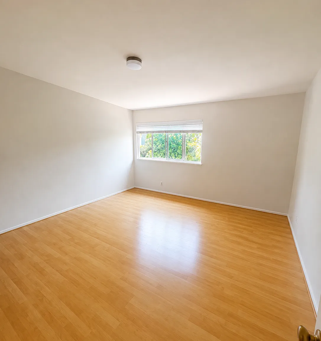 1 bed, 3000 sqft, $1,500 — Photo 2