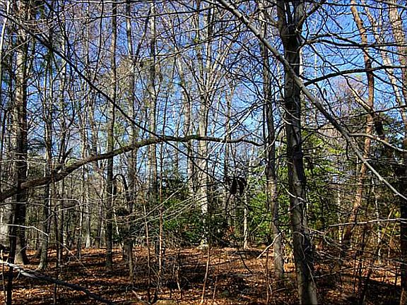 3rd image of 233 Holly Hills Dr