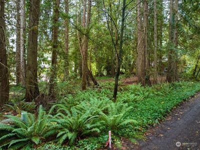 0 Woodbank Drive NE, Bainbridge Island, WA, 98110