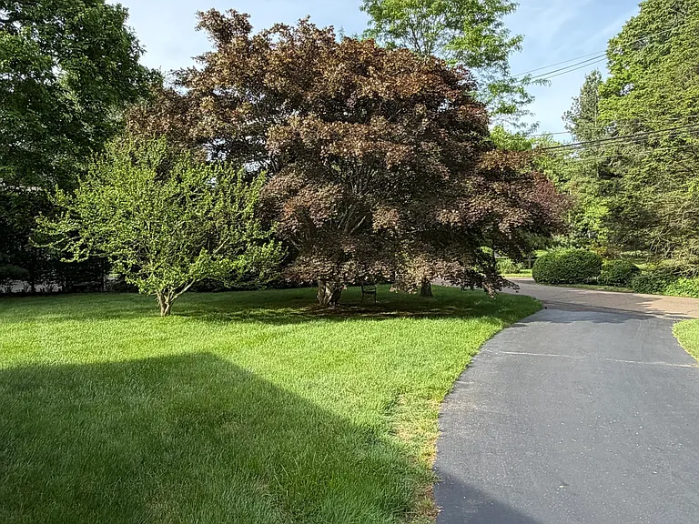 10 Heron Rd — Photo 27