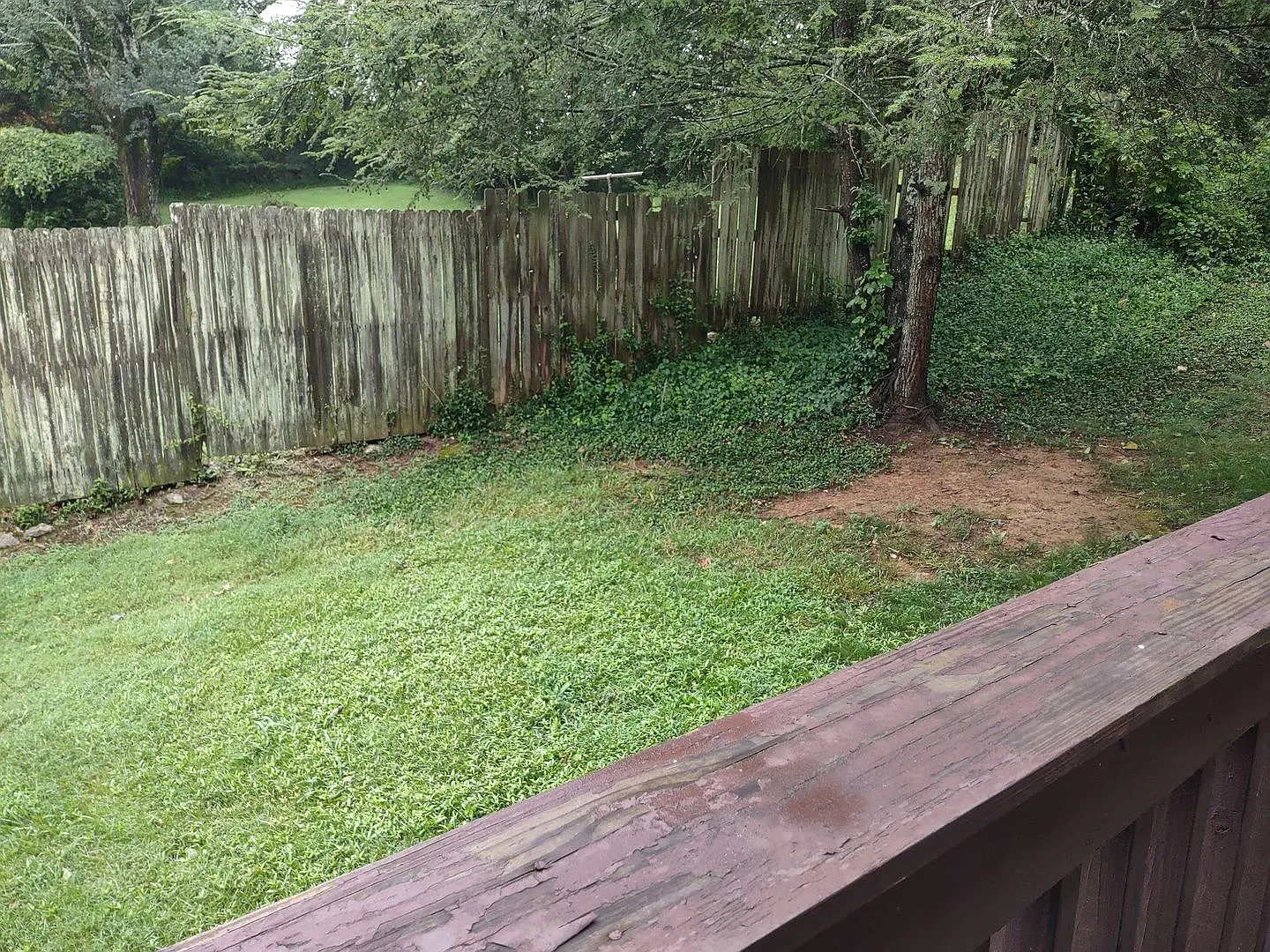 Avanti Apartments — Photo 4