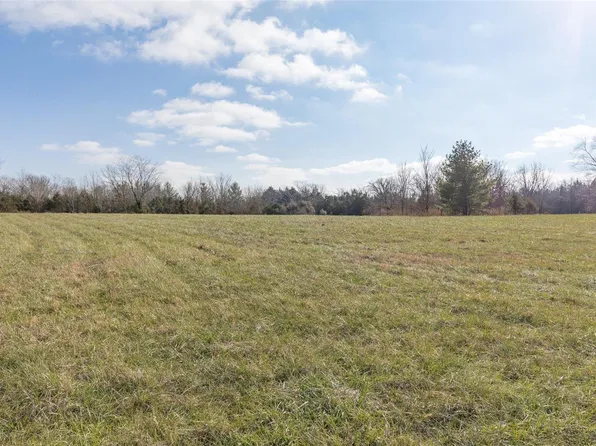 0 David Rd, Bonne Terre, MO 63628