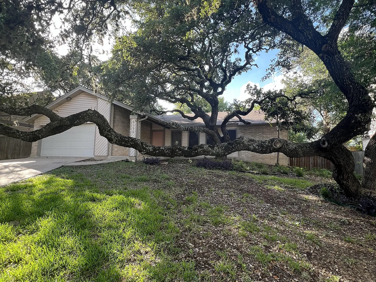 9123 Alpine Trail Street - 1 — Photo 4