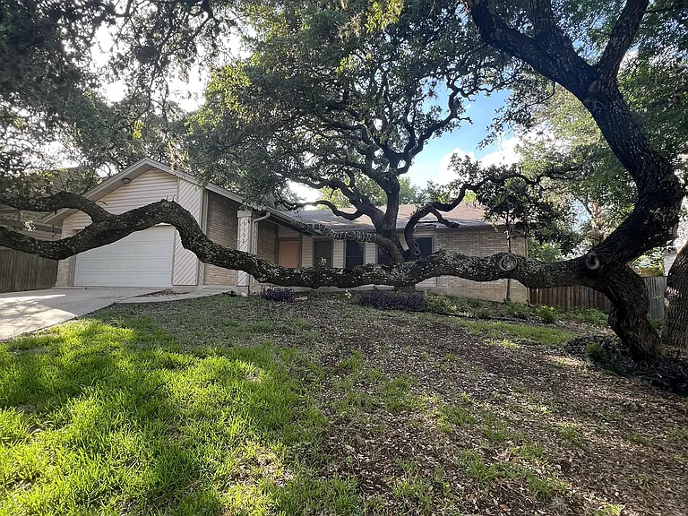 9123 Alpine Trail St — Photo 4