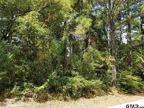 3rd image of LOT 108 & 109 Eastern Hills Dr
