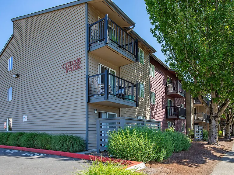 Cedar Park — Photo 5