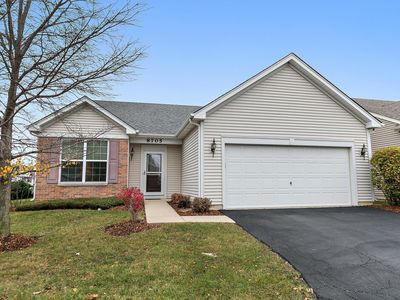 8705 Crowley Ct, Huntley, IL, 60142