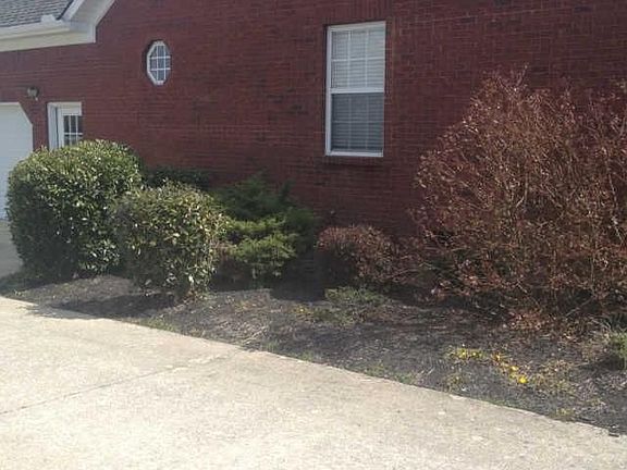 5th image of 206 Gladys Dr