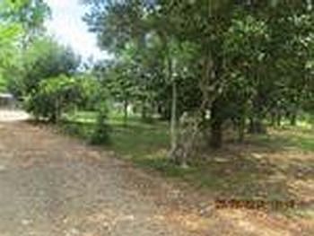 Photo of Mobile Home Lot