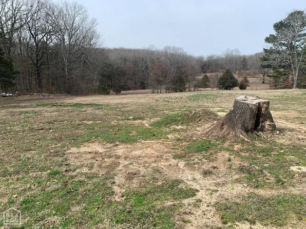 12 Highway 117 Spur S, Powhatan, AR 72458