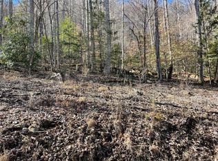 0 Meadow Mountain Estate Rd, Franklin, NC 28734