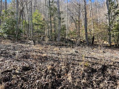 0 Meadow Mountain Estate Rd, Franklin, NC, 28734