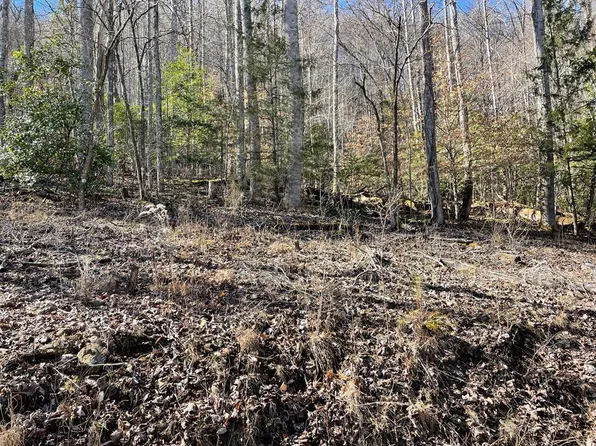 0 Meadow Mountain Estate Rd, Franklin, NC 28734