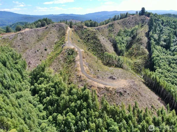 0 M.P. 13 Smith Creek Road, Cosmopolis, WA 98537