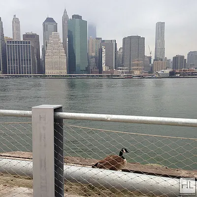 Sold by Highline Residential | media 31