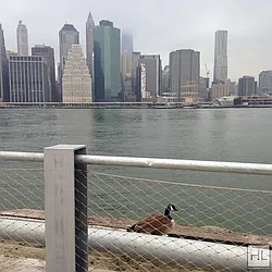 Sold by Highline Residential