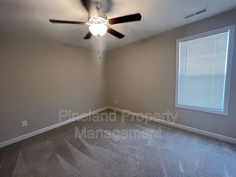 388 Dundee Farm Rd — Photo 16