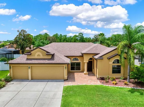10807 RAIN LILY PASS, LAND O LAKES, FL 34638
