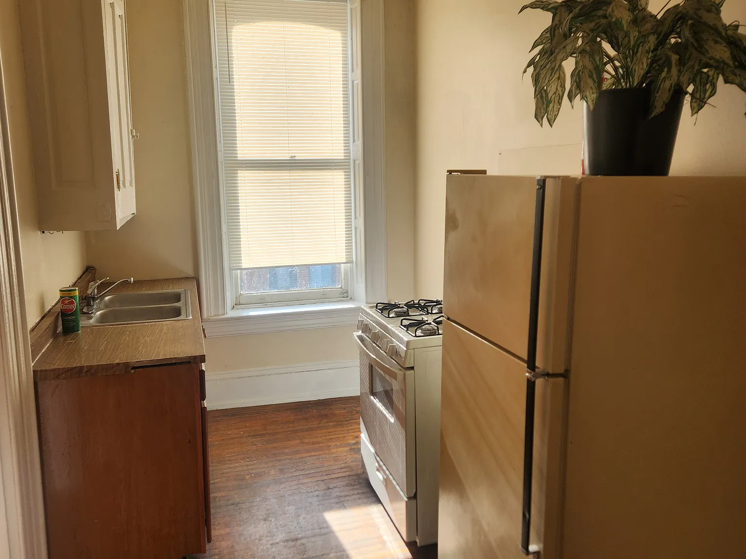 1 bed, $950 — Photo 2