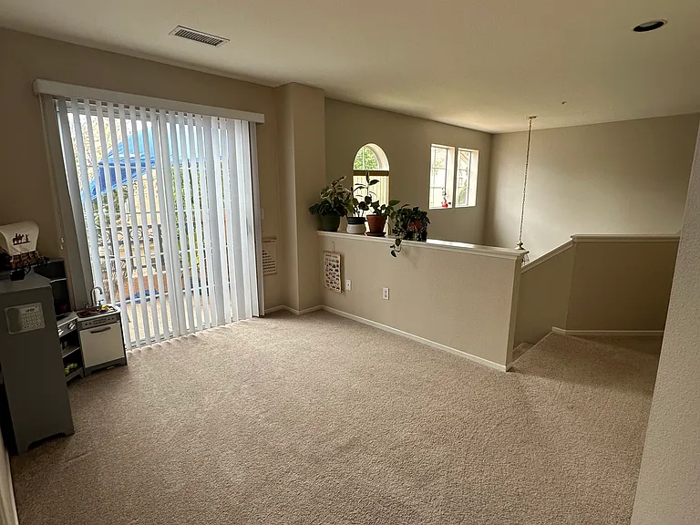 1323 Lost Point Ln — Photo 13