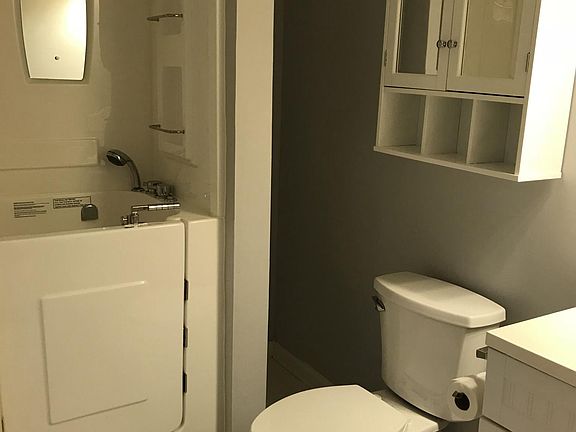 Master Bath walk in tub/shower 