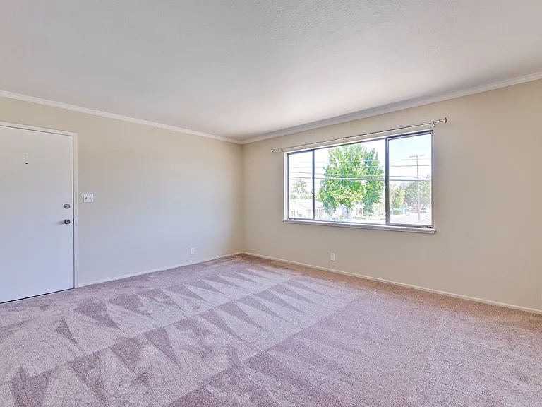1610 Santa Clara St — Photo 22