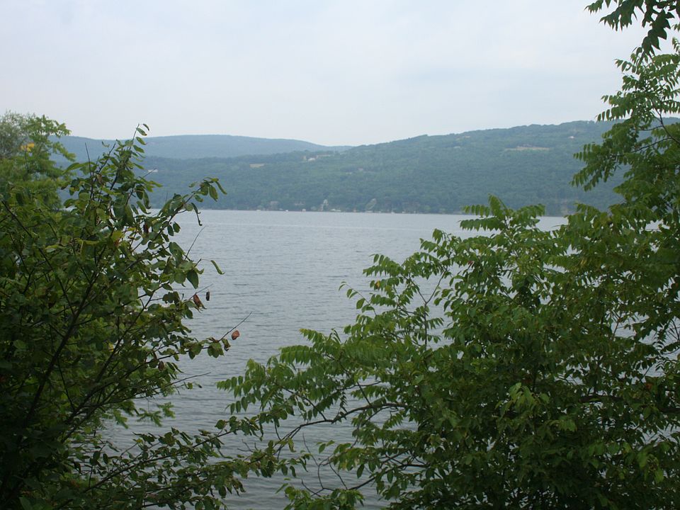 Prime View 