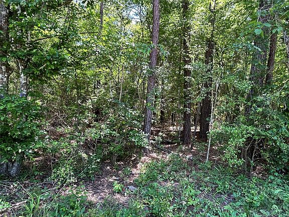 2nd image of 0 Redwood Ln