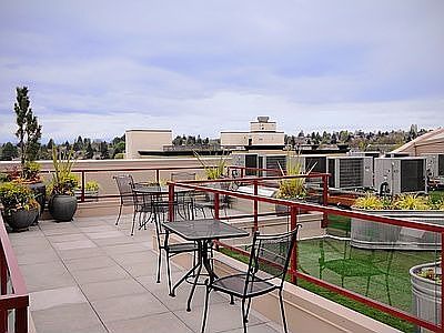 Enjoy the roof top deck
