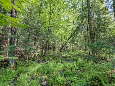 LOT 12 Upstream Dr Lot 12, Presque Isle, WI, 54557