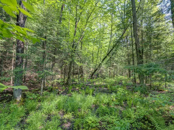 LOT 12 Upstream Dr Lot 12, Presque Isle, WI 54557