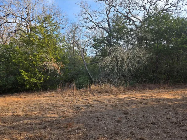 0 Lakeshore Dr, Paige, TX 78659