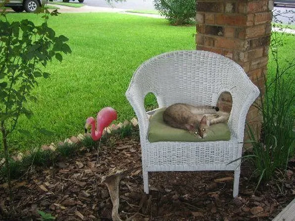 10007 Quail Hutch Dr, Austin, TX 78758