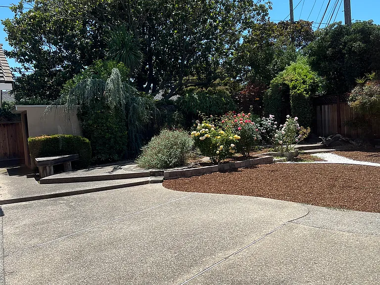 The back yard