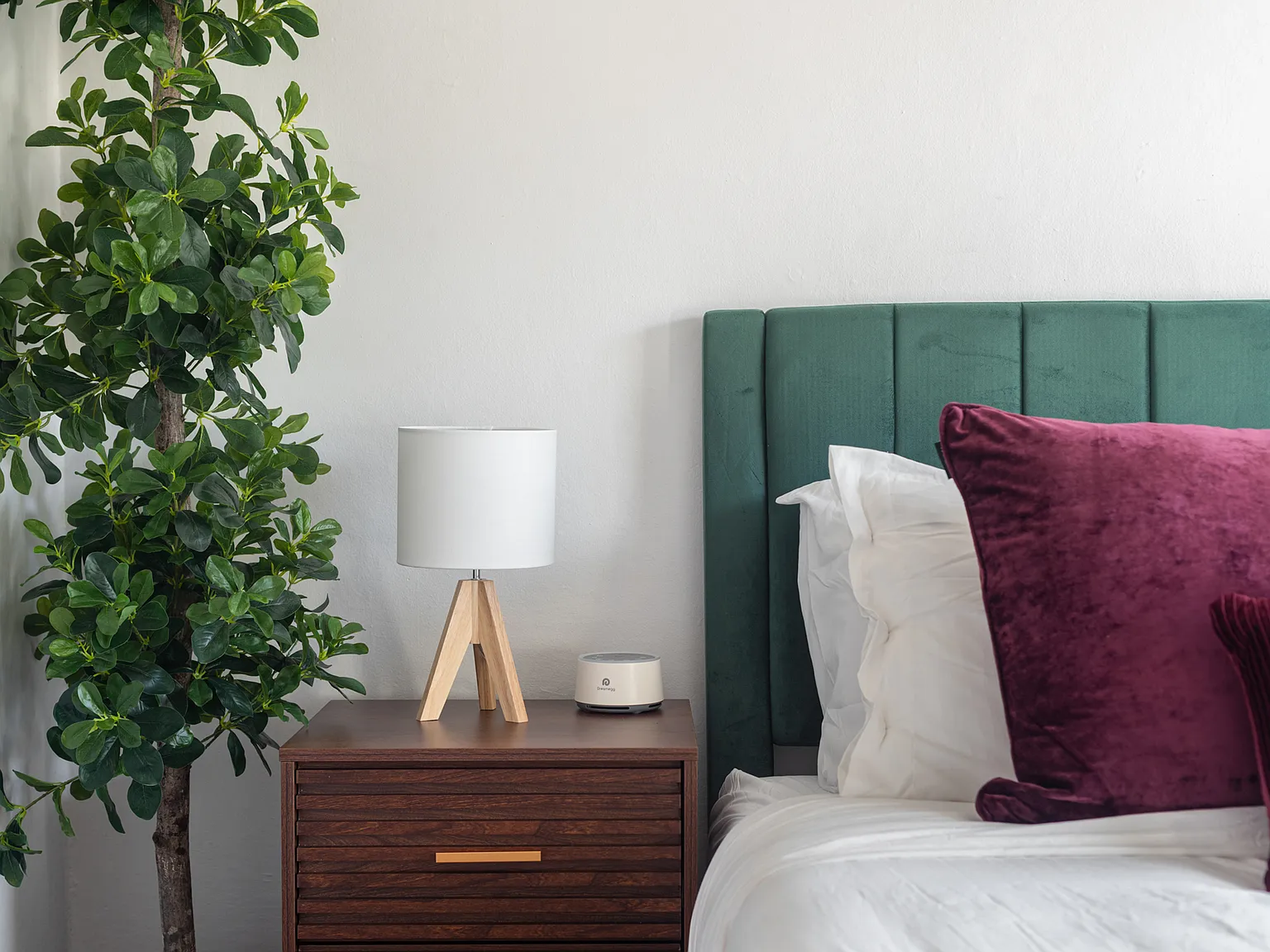 1 bed, $2,800 — Photo 1