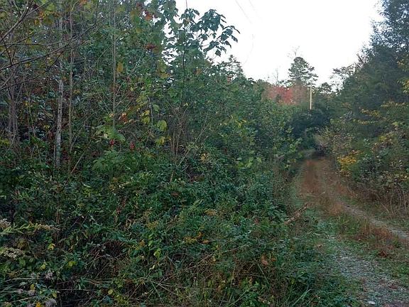 2nd image of 1961 Padgett Mill Rd Lot 0