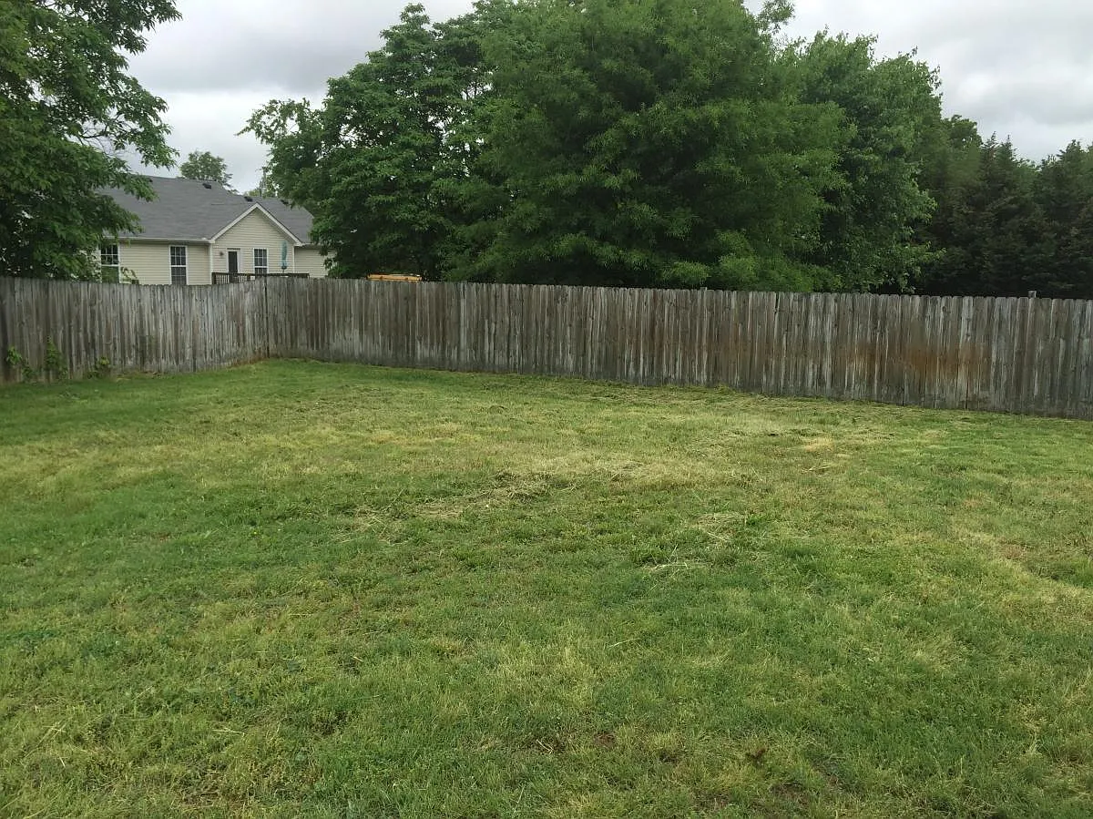 3 bed, 1150 sqft, $1,725 — Photo 4