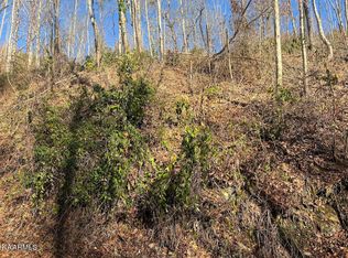 Deep Hollow Rd, Gatlinburg, TN 37738