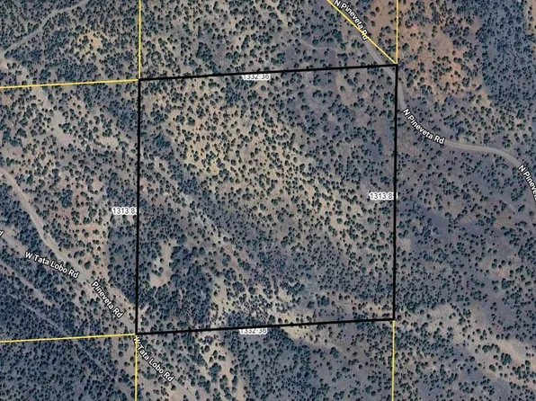 135 N PINEVETA Road #135, Ash Fork, AZ 86320