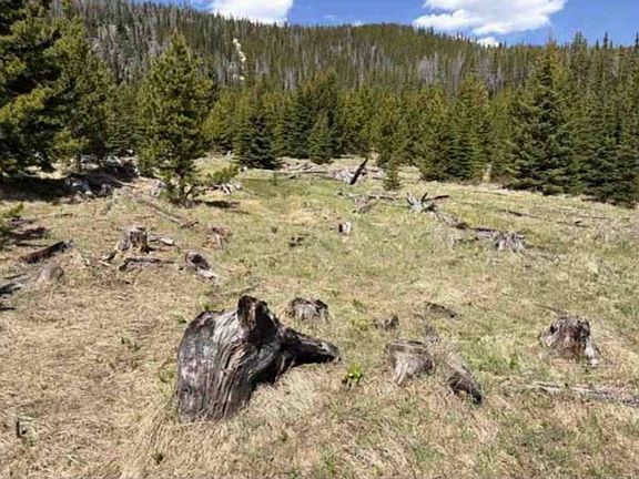 4th image of Nhn Corral Gulch Rd