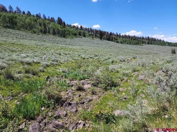 TBD Buck Run Road, Powderhorn, CO 81243
